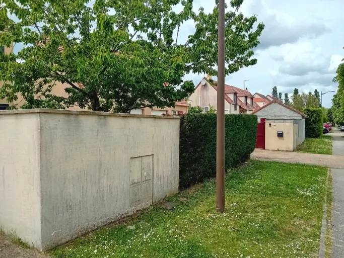 elagueur a Villeneuve-la-dondagre (6)