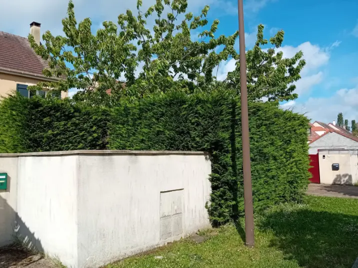 elagueur a Villeneuve-la-dondagre (8)